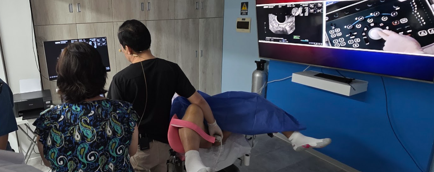 Curso de Ecografía Ginecológica y Obstetrica